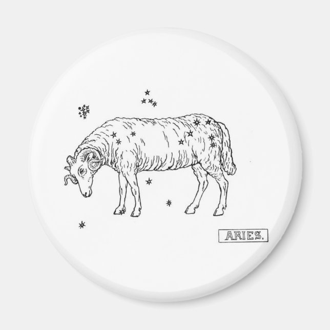 Aries Magnet (Vorne)