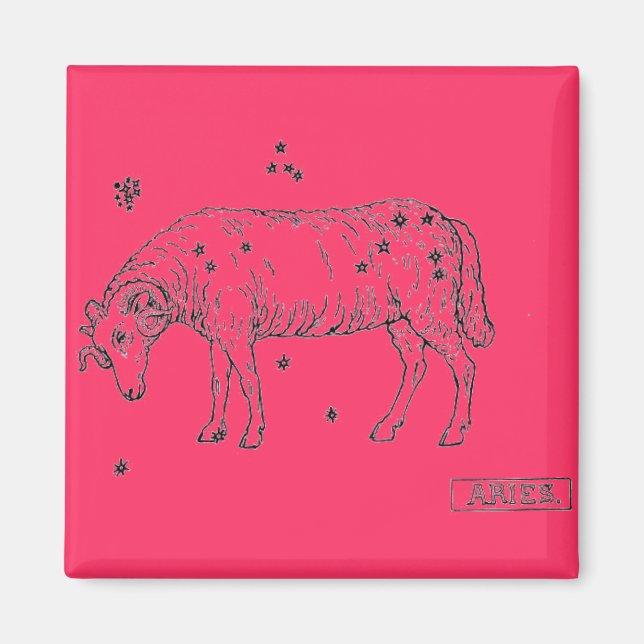 Aries Magnet (Vorne)