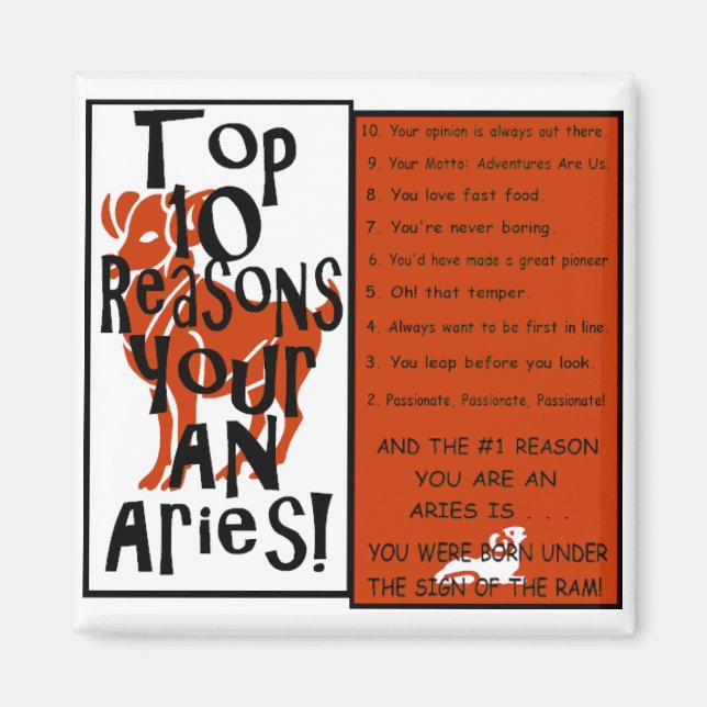 Aries Magnet (Vorne)