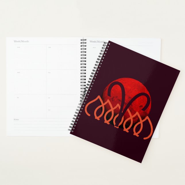 Aries Planner Planer (Anzeige)