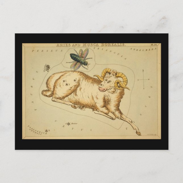 Aries Postkarte (Vorderseite)
