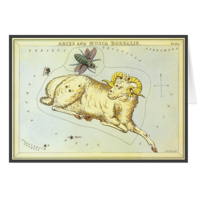 Aries Ram, Vintage Konstellation, Urania-Spiegel (Vorderseite (Horizontal))