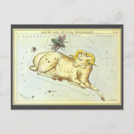 Aries Ram, Vintage Konstellation, Urania-Spiegel Postkarte