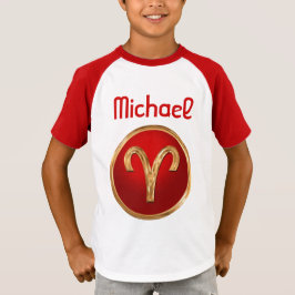 Aries Zodiac Sign Hoodie