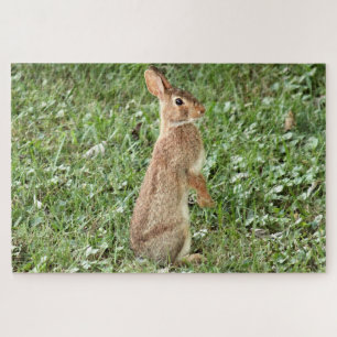 Arisdale Arts: Wildkaninchen stehend Puzzle