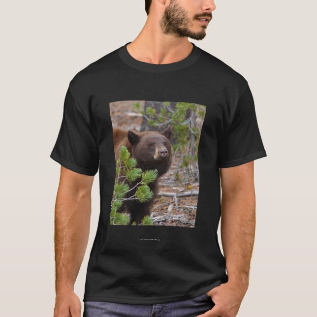 Aristoteles T-Shirt (Vorderseite)