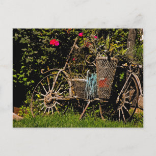 Arizona Antique Postkarte