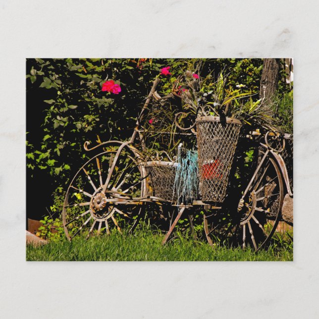 Arizona Antique Postkarte (Vorderseite)