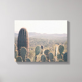 Arizona Cacti | Leinwand Art