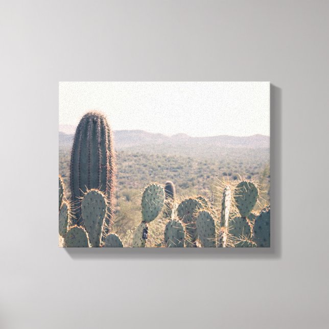 Arizona Cacti | Leinwand Art (Vorderseite)