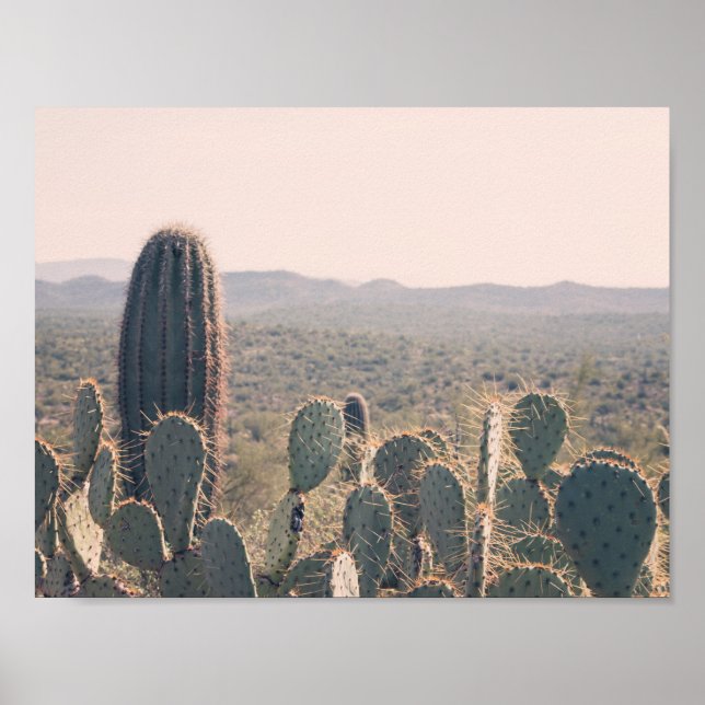 Arizona Cacti | Poster (Vorne)