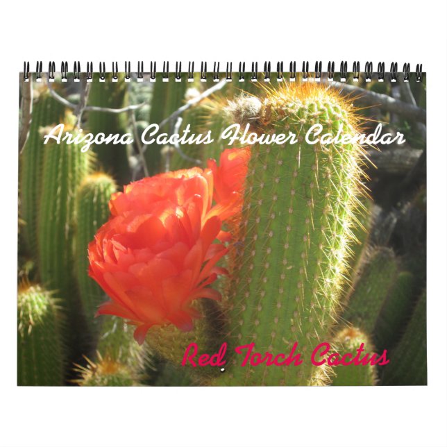 Arizona Cactus Blume Calendar Kalender (Titelbild)