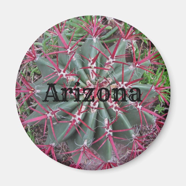 Arizona Cactus Foto Red Barrel Wüste Pflanze Magnet (Vorne)