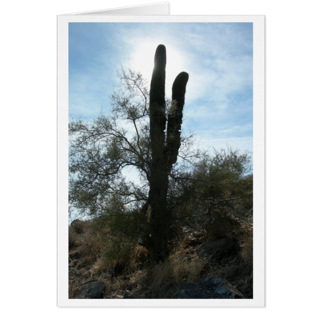Arizona Cactus (Leere) (Vorne)