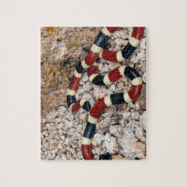 Arizona Coral Snake Jigsaw Puzzle