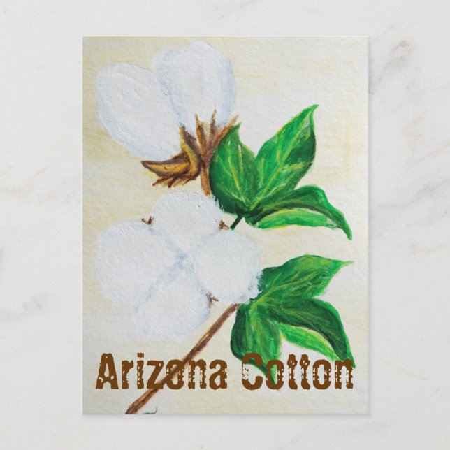 Arizona Cotton Fakten Postkarte (Vorderseite)