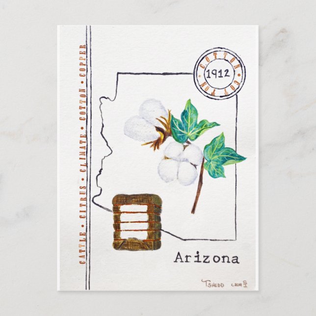 Arizona Cotton Postkarte (Vorderseite)