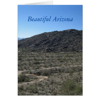 Arizona Desert Beauty