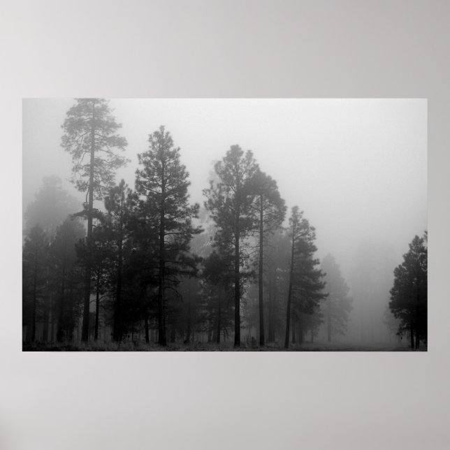 Arizona Fog Poster (Vorne)