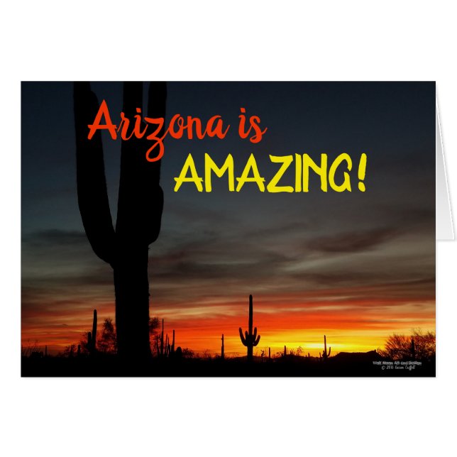 "Arizona ist fantastisch!" Sonnenuntergang Sonoran (Vorderseite (Horizontal))