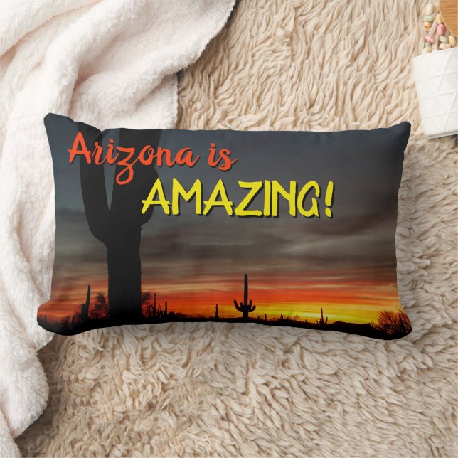 "Arizona ist Phantastisch!" Sunset Sonoran Desert  Lendenkissen (Decke)