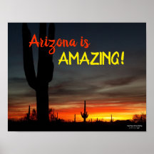 "Arizona ist Phantastisch!" Sunset Sonoran Desert 