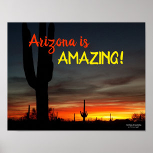 "Arizona ist Phantastisch!" Sunset Sonoran Desert  Poster