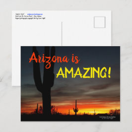 "Arizona ist Phantastisch!" Sunset Sonoran Desert Postkarte
