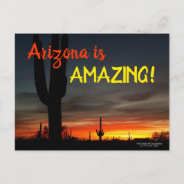 "Arizona ist Phantastisch!" Sunset Sonoran Desert  Postkarte