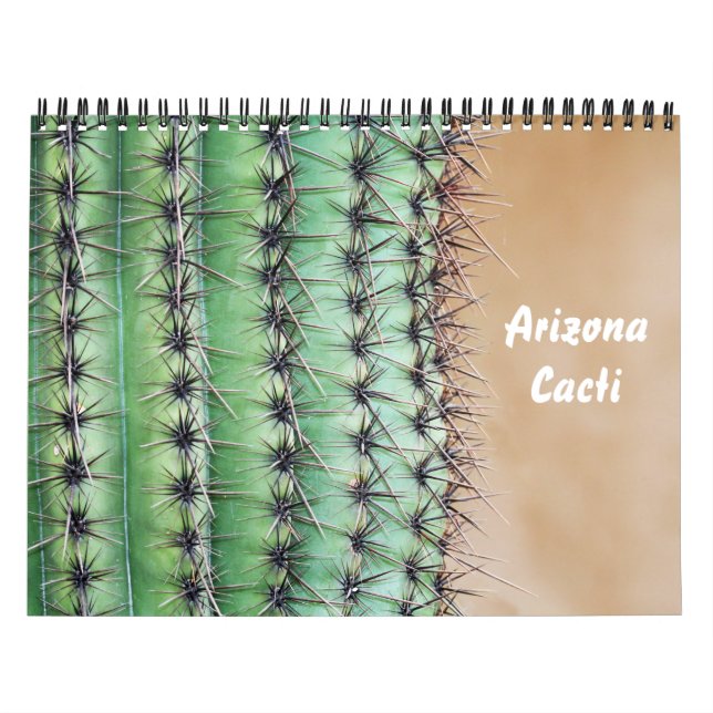 Arizona-Kakti-Kalender Kalender (Titelbild)