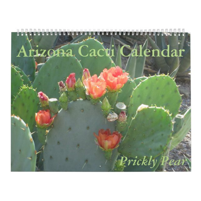 Arizona-Kaktus-Kalender Kalender (Titelbild)