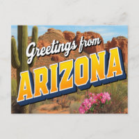 Arizona Kaktus und Wüste