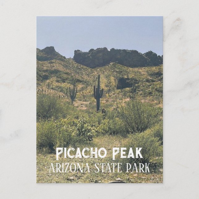 Arizona Landschaft Saguaro Cactus Picacho Postkarte (Vorderseite)