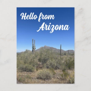 Arizona Landschaft Saguaro Kaktus Natur Postkarte