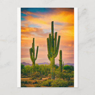 Arizona Life Postkarte