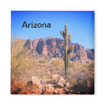 Arizona Lone Cactus