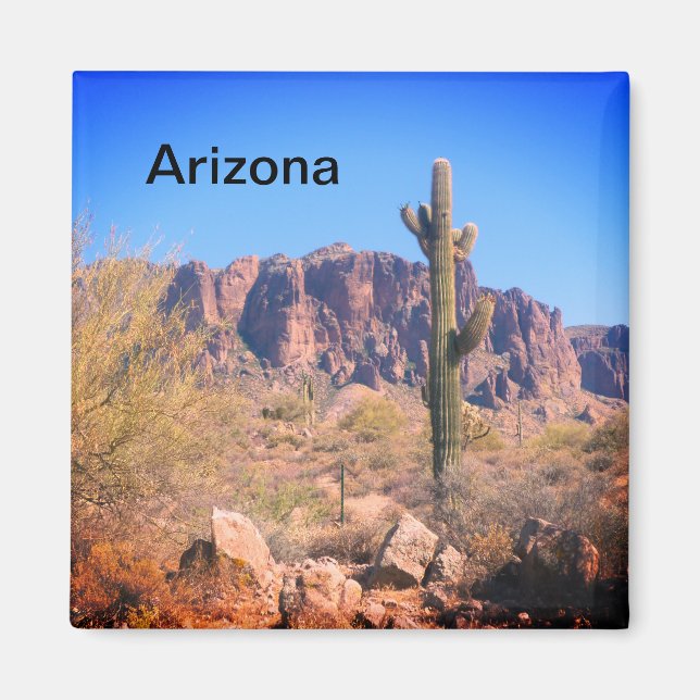 Arizona Lone Cactus Magnet (Vorne)