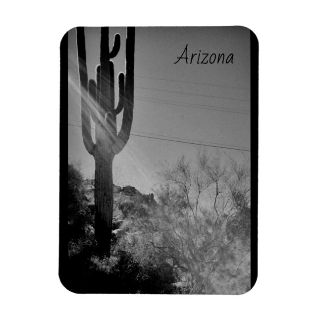 Arizona Magnet (Vertikal)