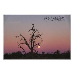Arizona Moon Fotodruck