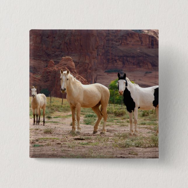Arizona, Navajo Indian Reservation, Chinle, Button (Vorderseite)