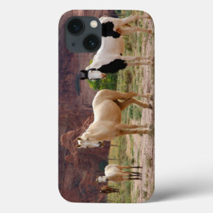 Arizona, Navajo Indian Reservation, Chinle, Case-Mate iPhone Hülle