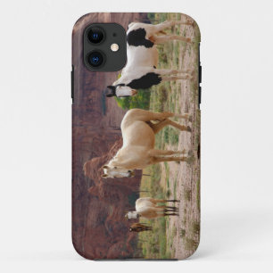 Arizona, Navajo Indian Reservation, Chinle, Case-Mate iPhone Hülle
