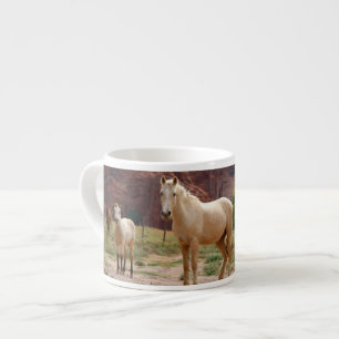 Arizona, Navajo Indian Reservation, Chinle, Espressotasse