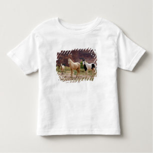 Arizona, Navajo Indian Reservation, Chinle, Kleinkind T-shirt