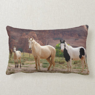 Arizona, Navajo Indian Reservation, Chinle, Lendenkissen