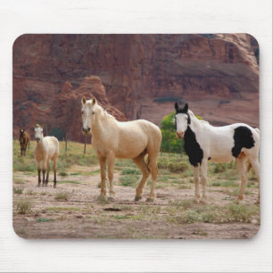 Arizona, Navajo Indian Reservation, Chinle, Mousepad