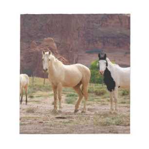 Arizona, Navajo Indian Reservation, Chinle, Notizblock