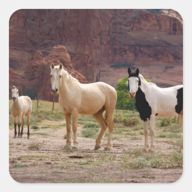 Arizona, Navajo Indian Reservation, Chinle, Quadratischer Aufkleber (Vorderseite)