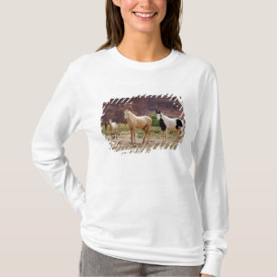 Arizona, Navajo Indian Reservation, Chinle, T-Shirt