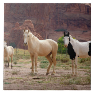 Arizona, Navajo-Indianerreservat, Chinle, Fliese